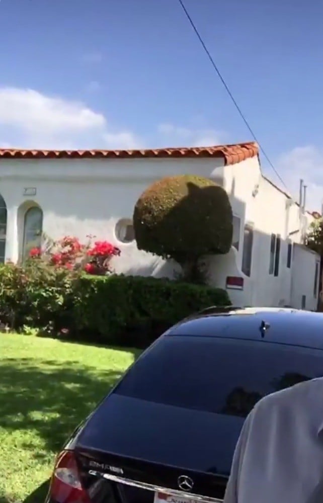 Building Photo - 1117 E California Ave