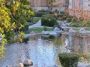 Photo - 20702 El Toro Rd