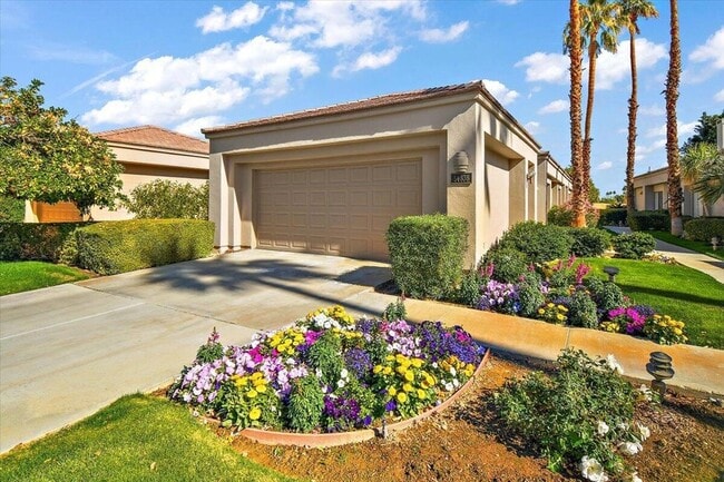 Photo - 54838 Oak-Tree