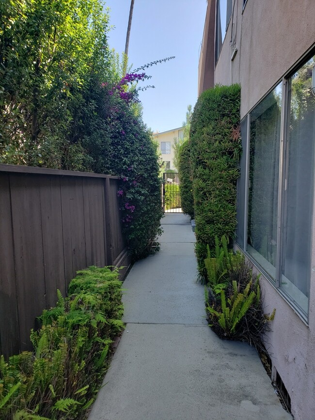 Building Photo - 1118 9th St Rental