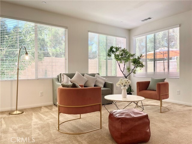 Photo - 107 Bright Poppy