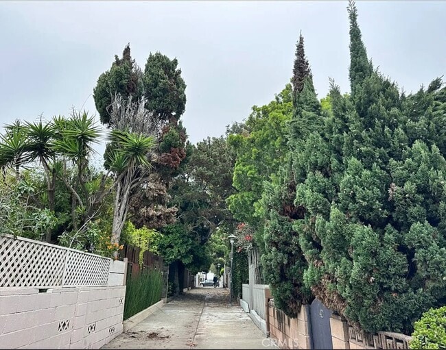 FRONT YARD - 49 Dudley Ave