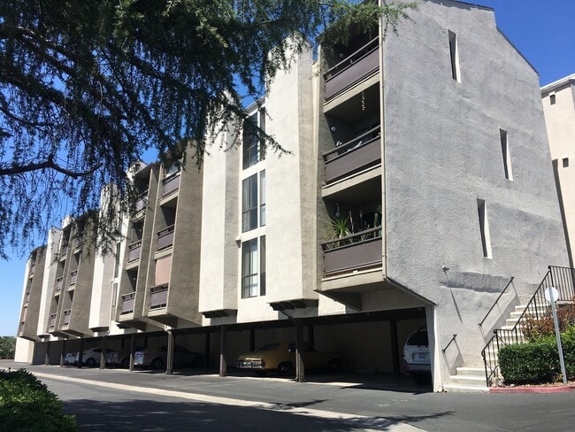 Building Photo - One Bedroom Condo in San Carlos!!