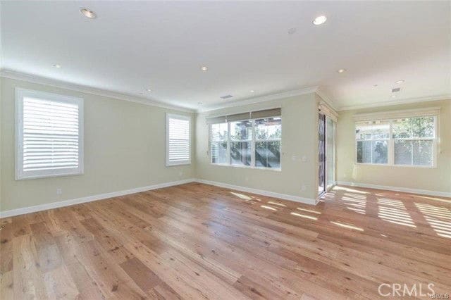 Photo - 134 Stallion