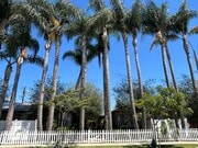 Photo - 2226 S Carmelina Ave Unit 2226