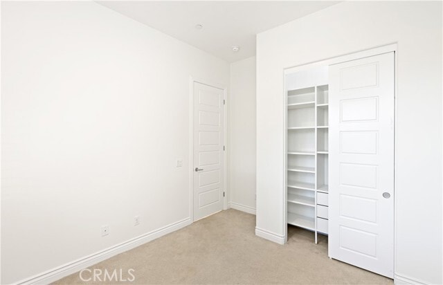 Photo - 148 Spectacle