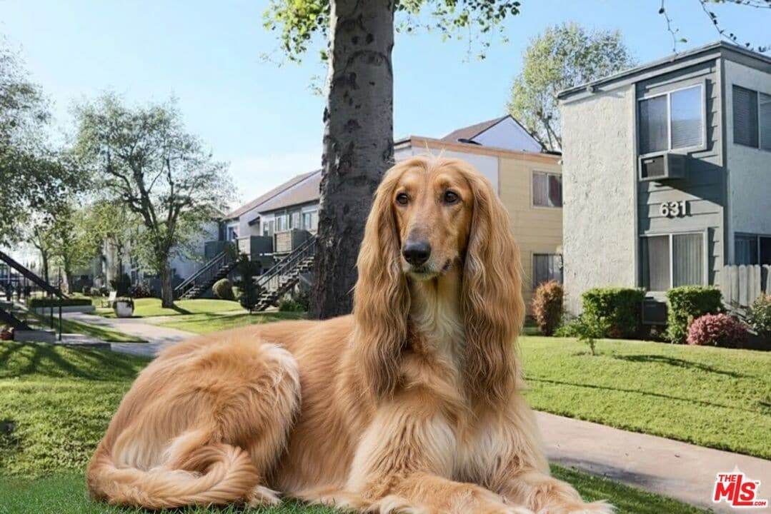 Photo - 631 N Bristol St