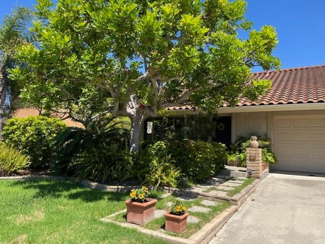 Building Photo - 730 San Mario Dr Rental