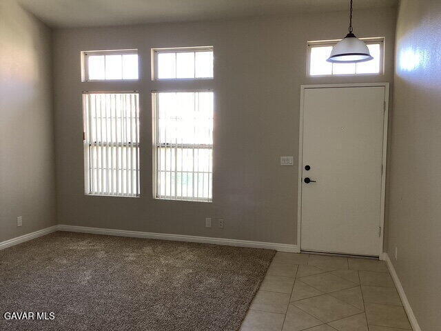 Photo - 3716 Vireo Dr