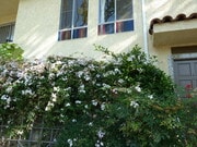Photo - 2020 Idaho Ave Apartments