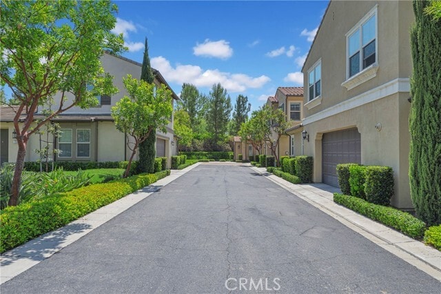 Photo - 230 Bright Poppy