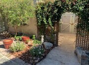 Back Yard - 1124 Manzanita St