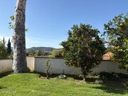 Photo - 28649 Acacia Glen St