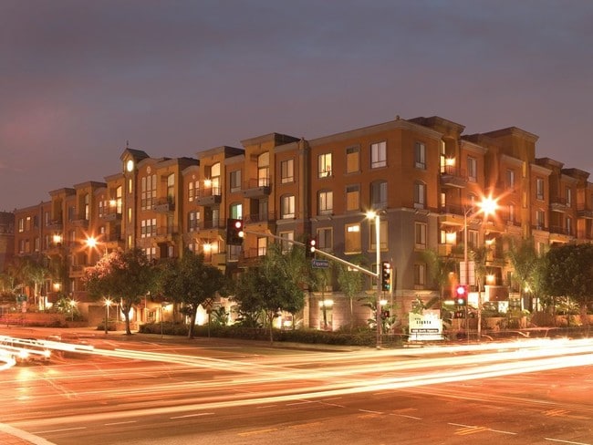 Photo - City Lights on Fig