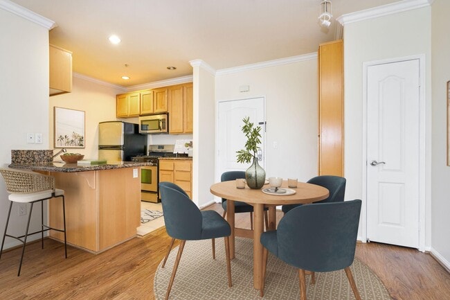 Photo - The Visconti