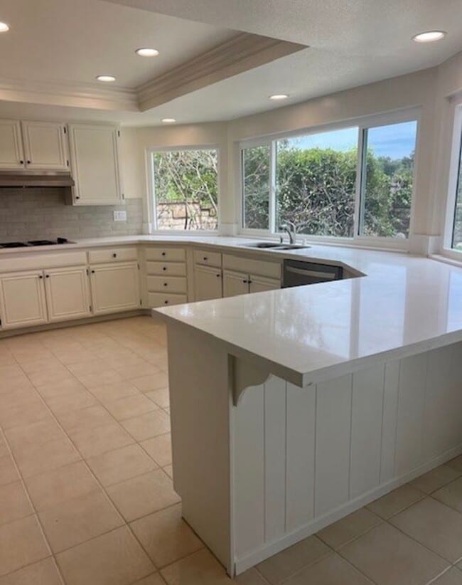 Photo - 23806 Lagarto