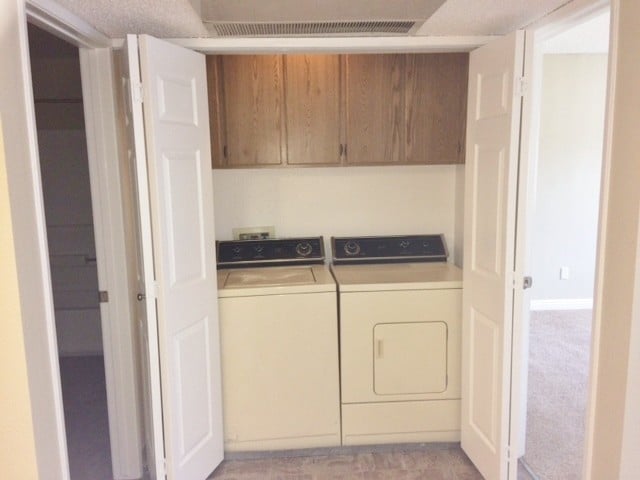 Photo - Reidy Creek II