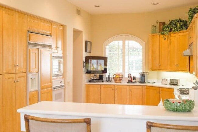 Photo - 79695 Mandarina