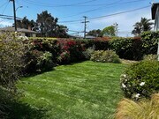 Front Yard - 6694 Sabado Tarde Rd House Unit B