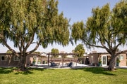 Photo - Amara Apartments