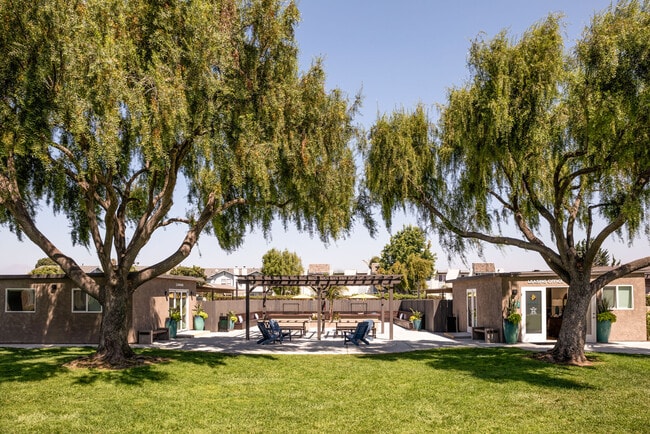 Photo - Amara Apartments