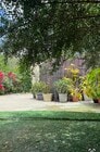 Photo - 1824 Shadow Knolls Pl Condo Unit ADU behind  Mansion