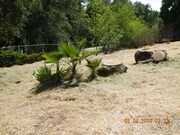 Photo - 1546 Tavern Rd