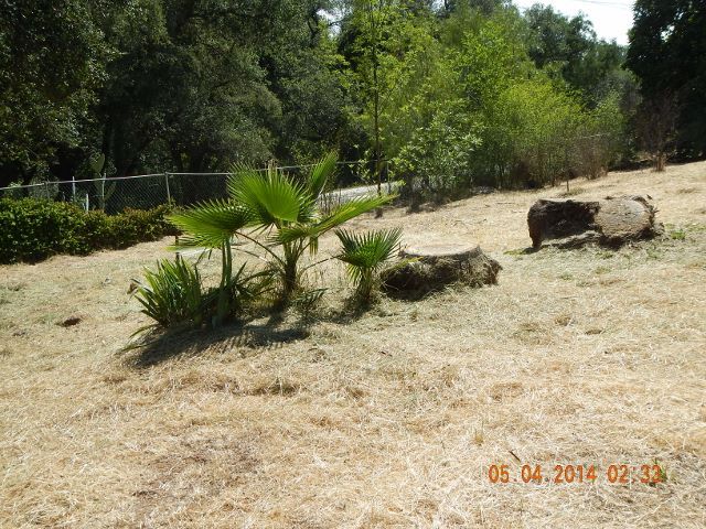 Photo - 1546 Tavern Rd