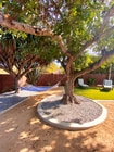 Photo - 5BD/2BA, Great Private Yard w/ Fire Pit! House