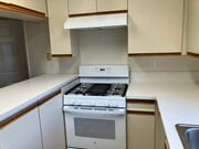 Kitchen Range and Hood - Selby Rose Townhome