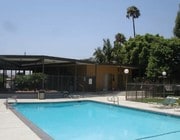 Pool - The Bungalows Apartments