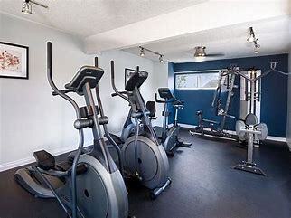 Photo - Santa Monica Palms