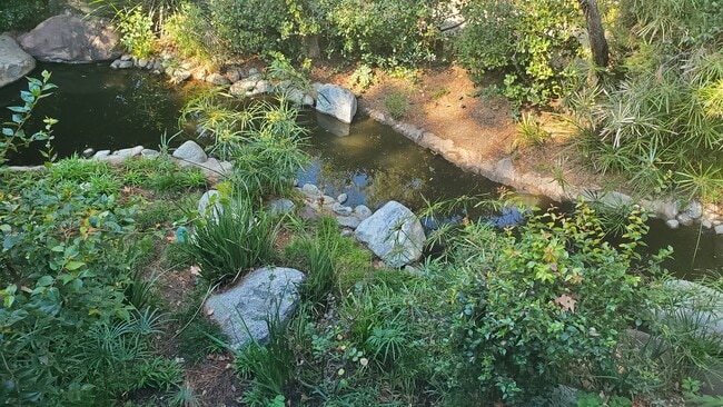 view of stream - 7131 Farralone Ave Condo Unit 83