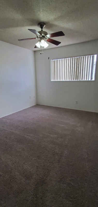 Building Photo - 991 N Mollison Ave Rental