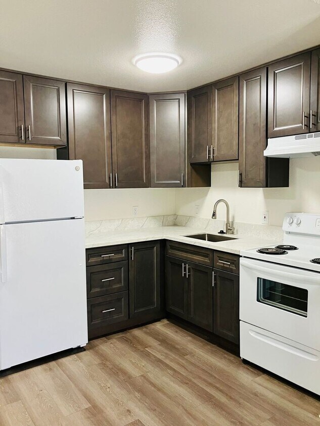 Floor Plan - Junior Unit with Modern Updates in Central Esco...