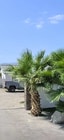 Photo - 82079 Avenue 50