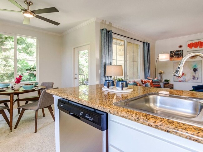 Photo - Sofi Shadowridge