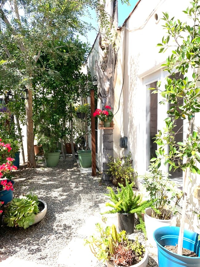 Outdoor Garden - 605 N Windsor Blvd Unit 605