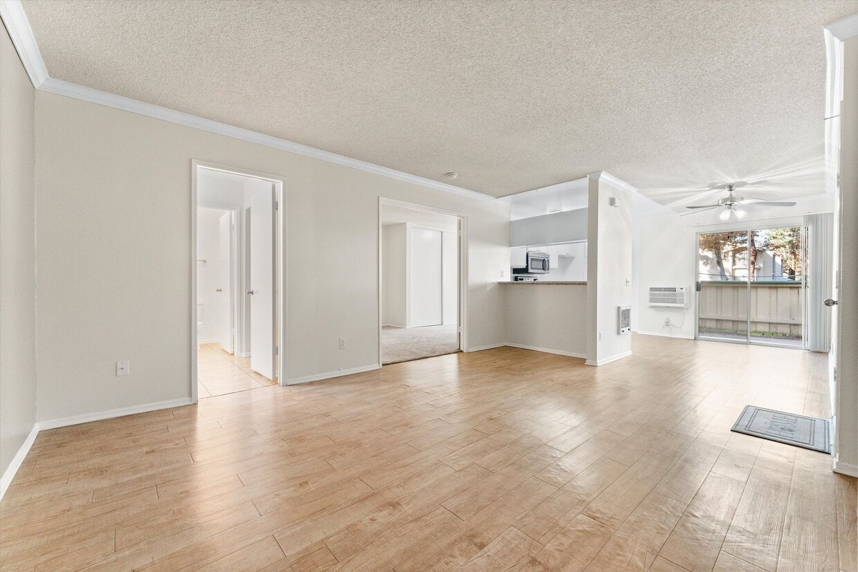Floor Plan - 1+1 D CDB
