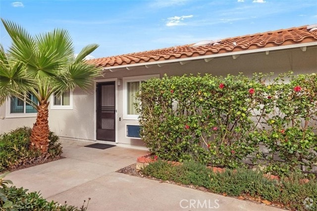 Building Photo - 2086 Ronda Granada Rental