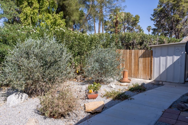 Photo - 1010 Palm Canyon Dr