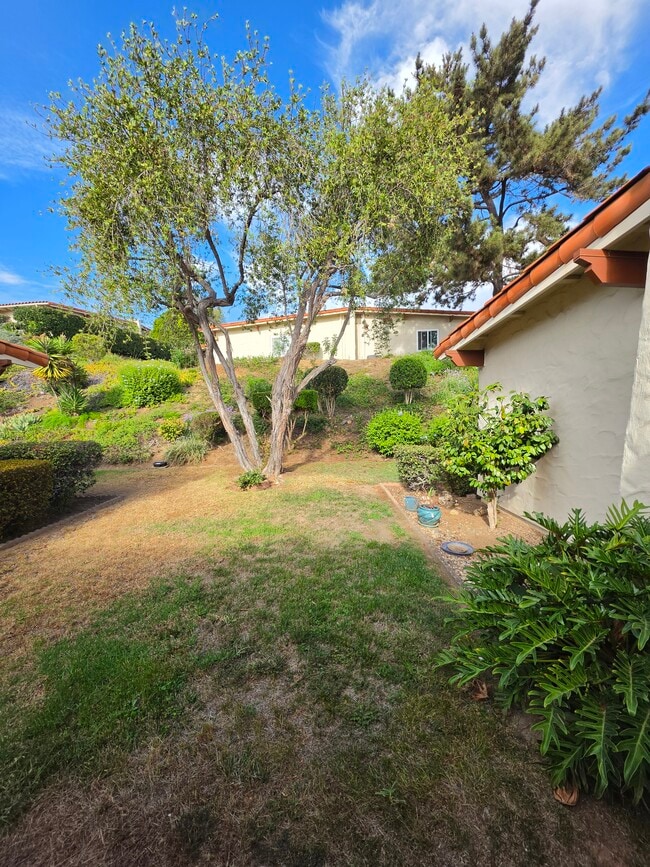 Photo - 16625 Roca Dr Unit 16625 Roca Drive