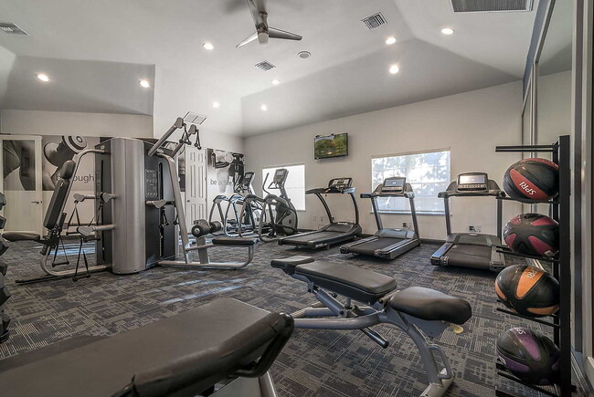 Photo - Cambridge Park