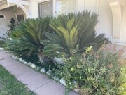 Photo - 6914 McLaren Ave