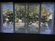Treetop Views from Living Room - 325 S Doheny Dr Apartments Unit 4