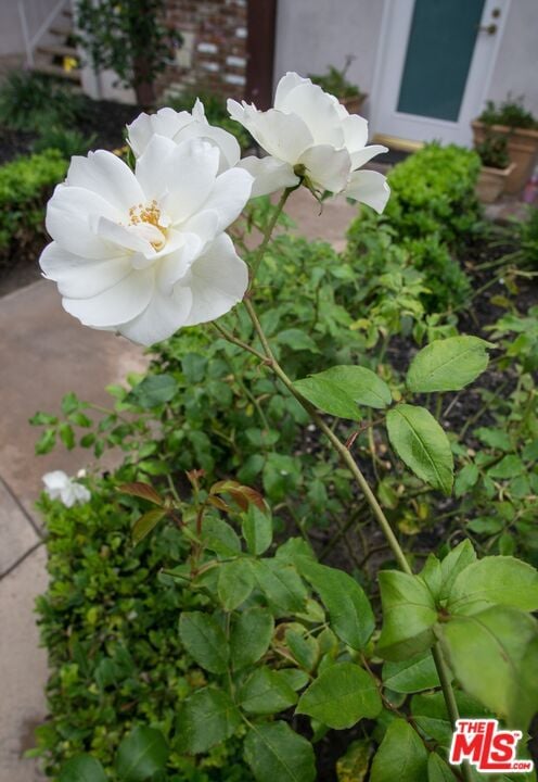 Photo - 8130 Redlands St Unit 15