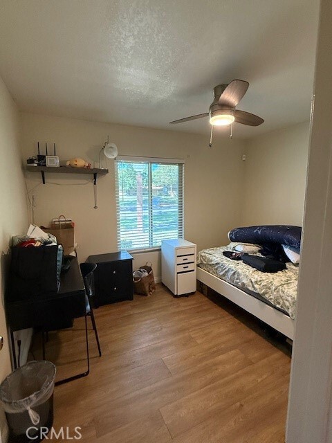 Photo - 14172 Raintree Rd