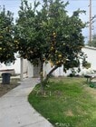 Photo - 1632 E Gould St