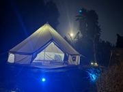 Photo - 315 Osborne St