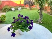 Photo - 2497 Glen Meadow Ln